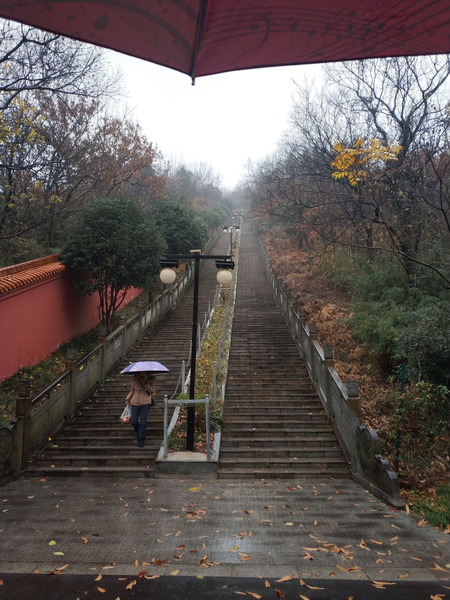 小九华旅行图片 2
