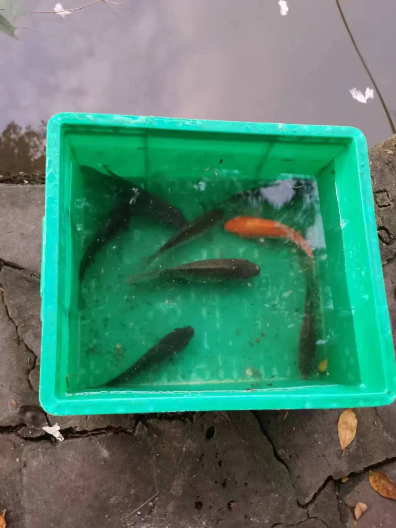 铭投山庄旅行图片 3