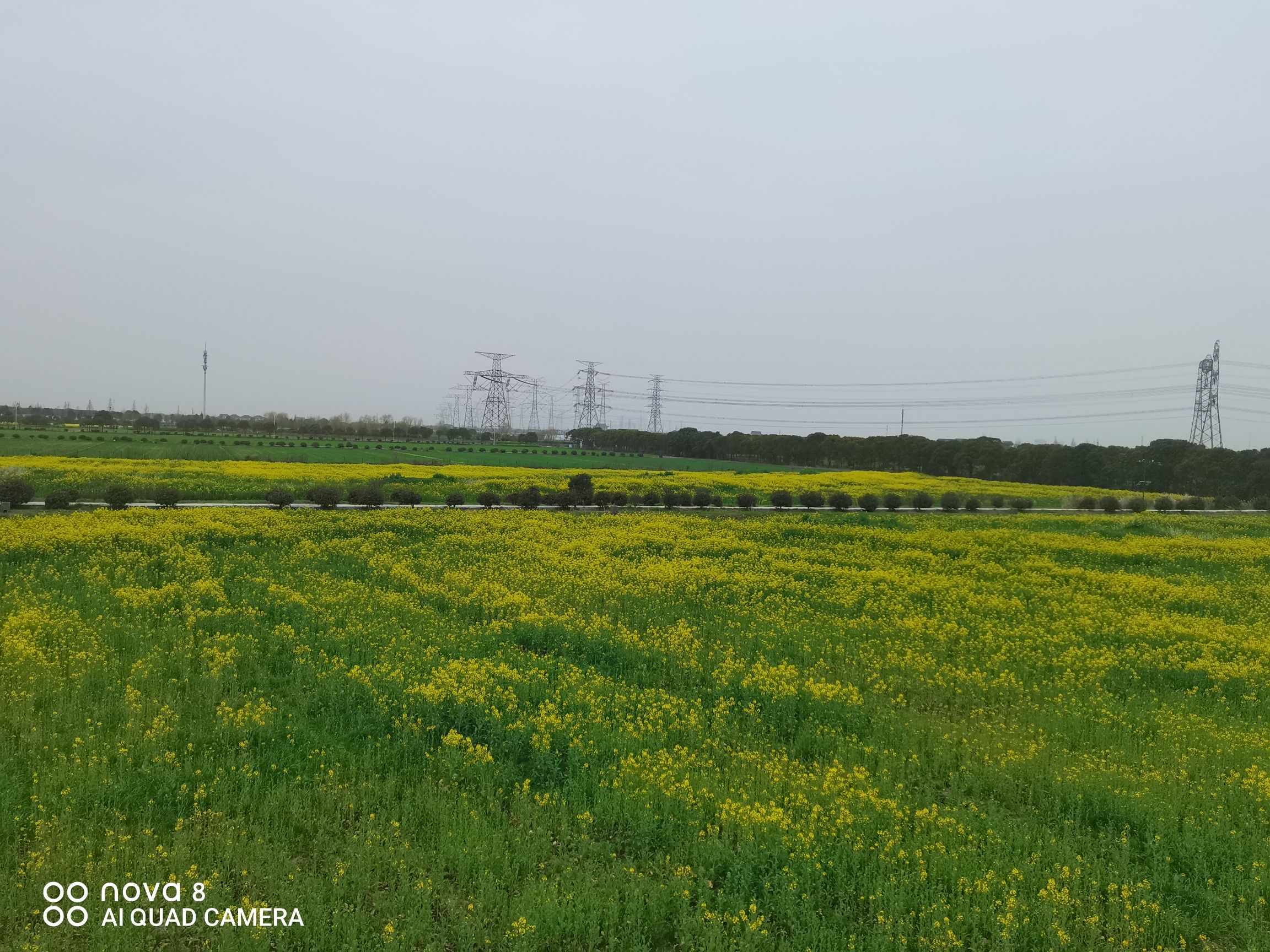 花米庄行旅行图片 2