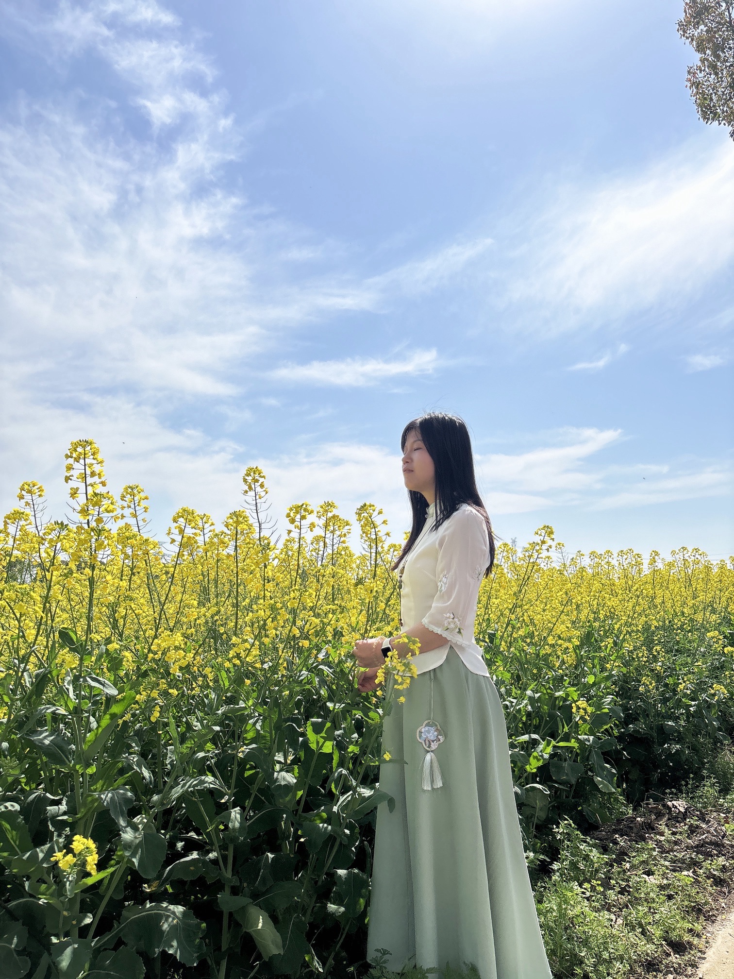 花米庄行旅行图片 3