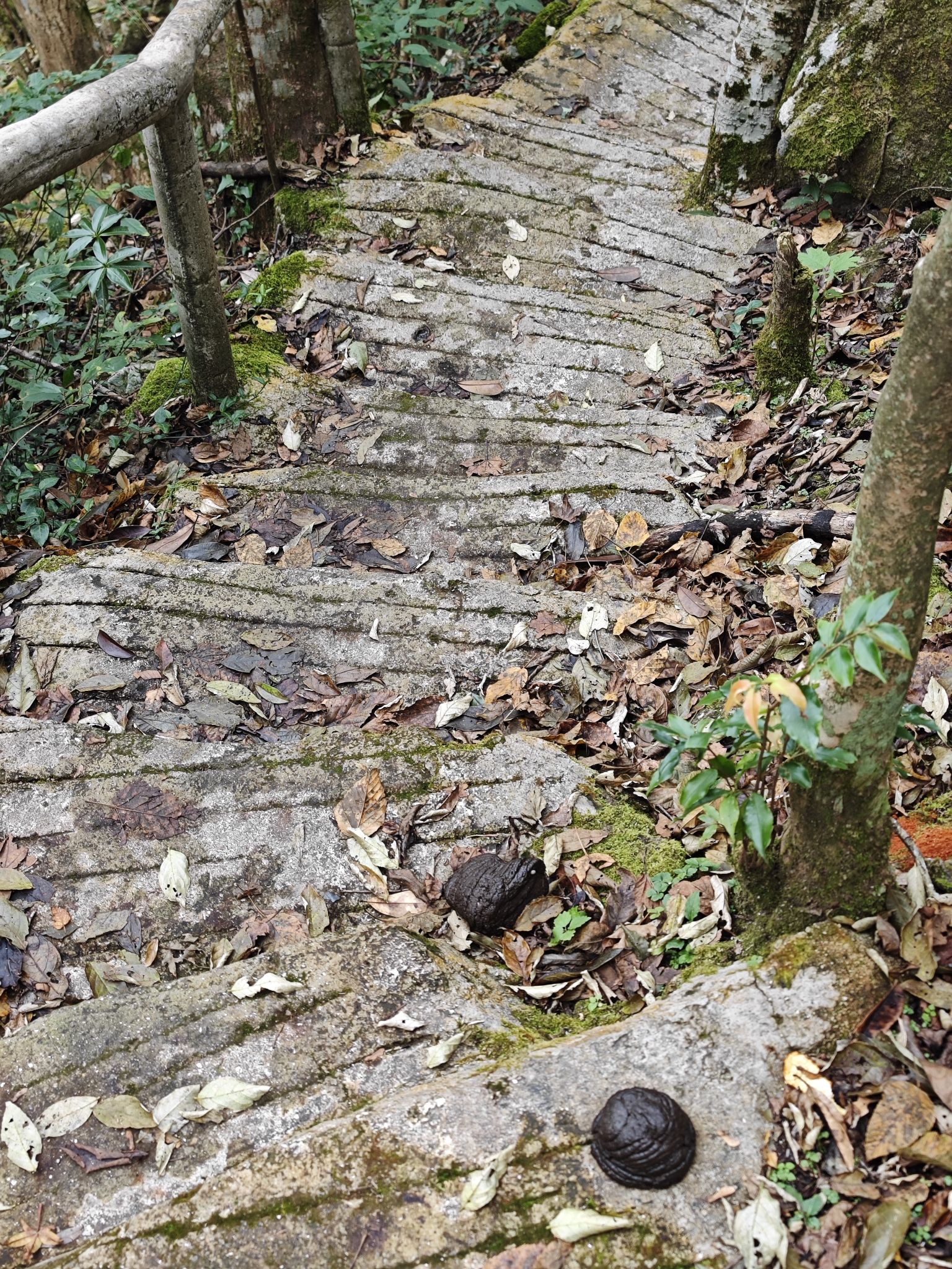 飞水寨南国天山大草原旅行图片 3