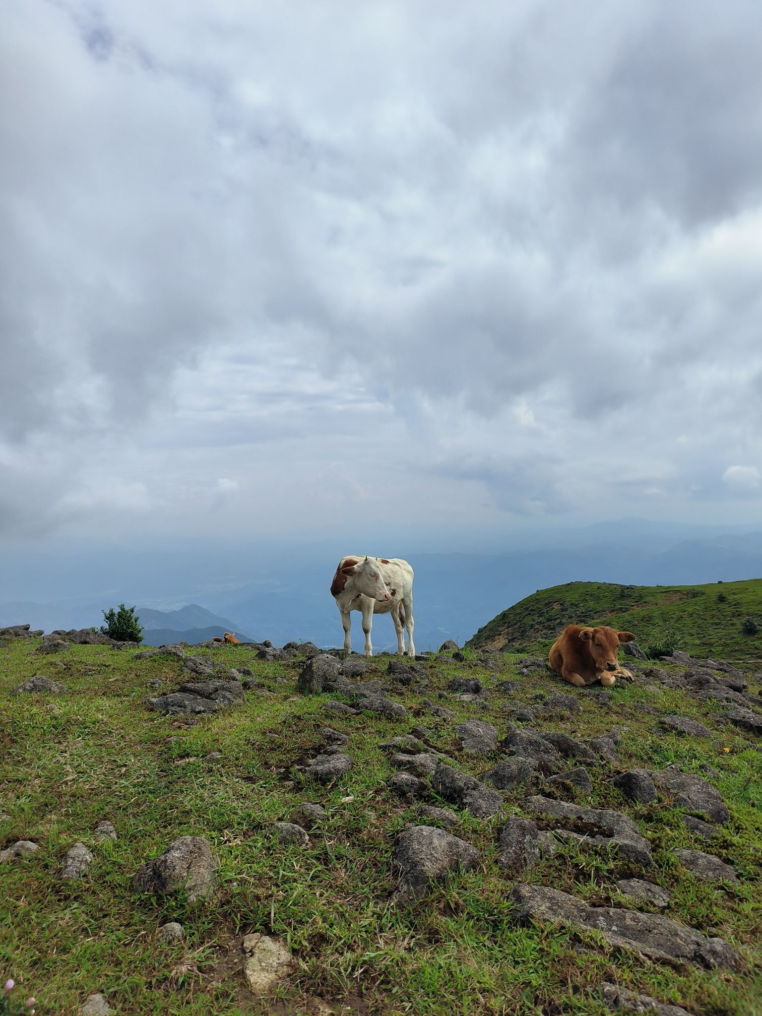 飞水寨南国天山大草原旅行图片 3