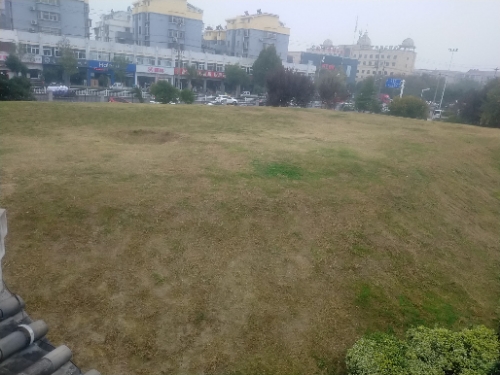 八角台遗址公园旅行图片 1