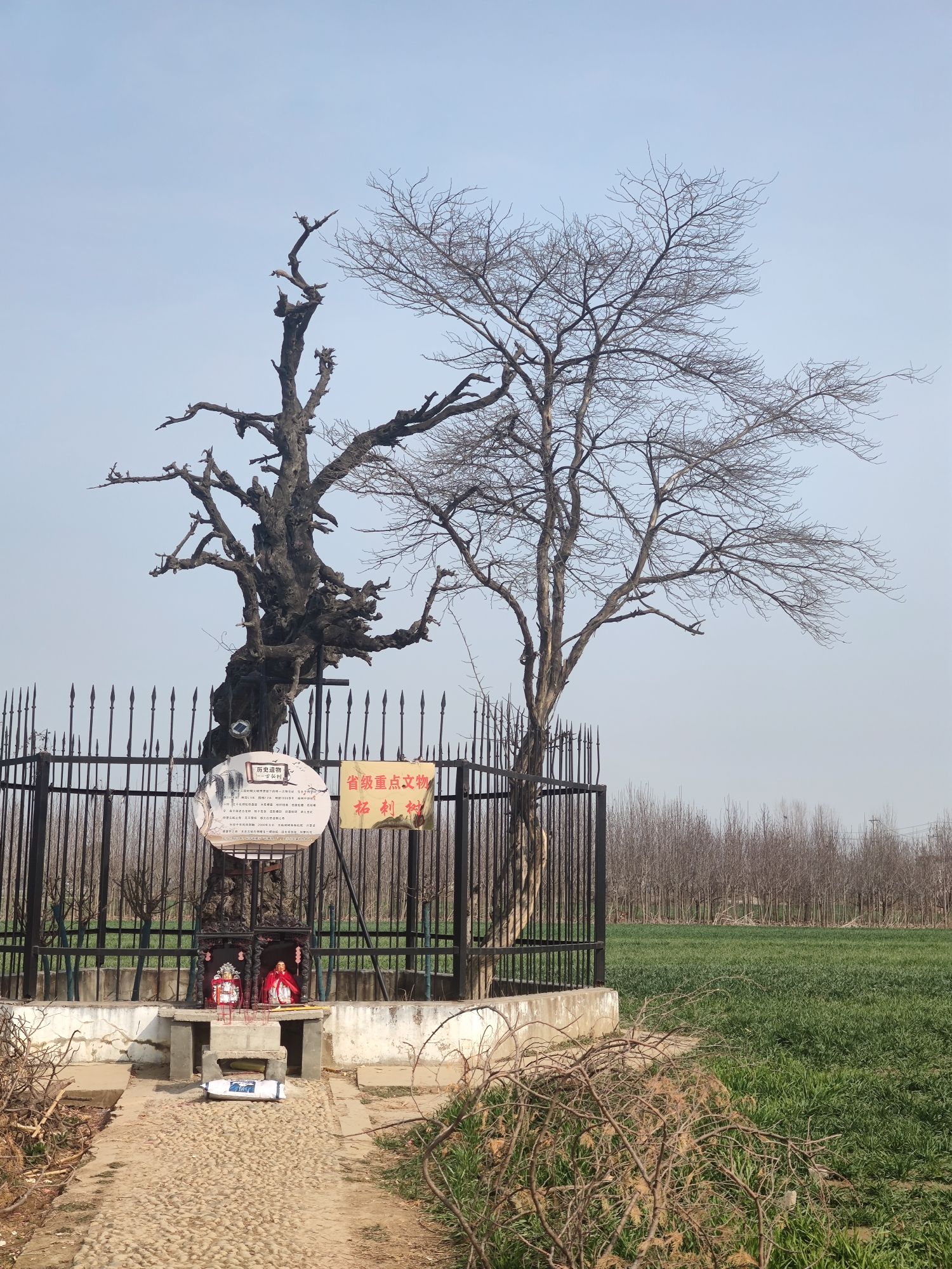 博望坡遗址旅行图片 2