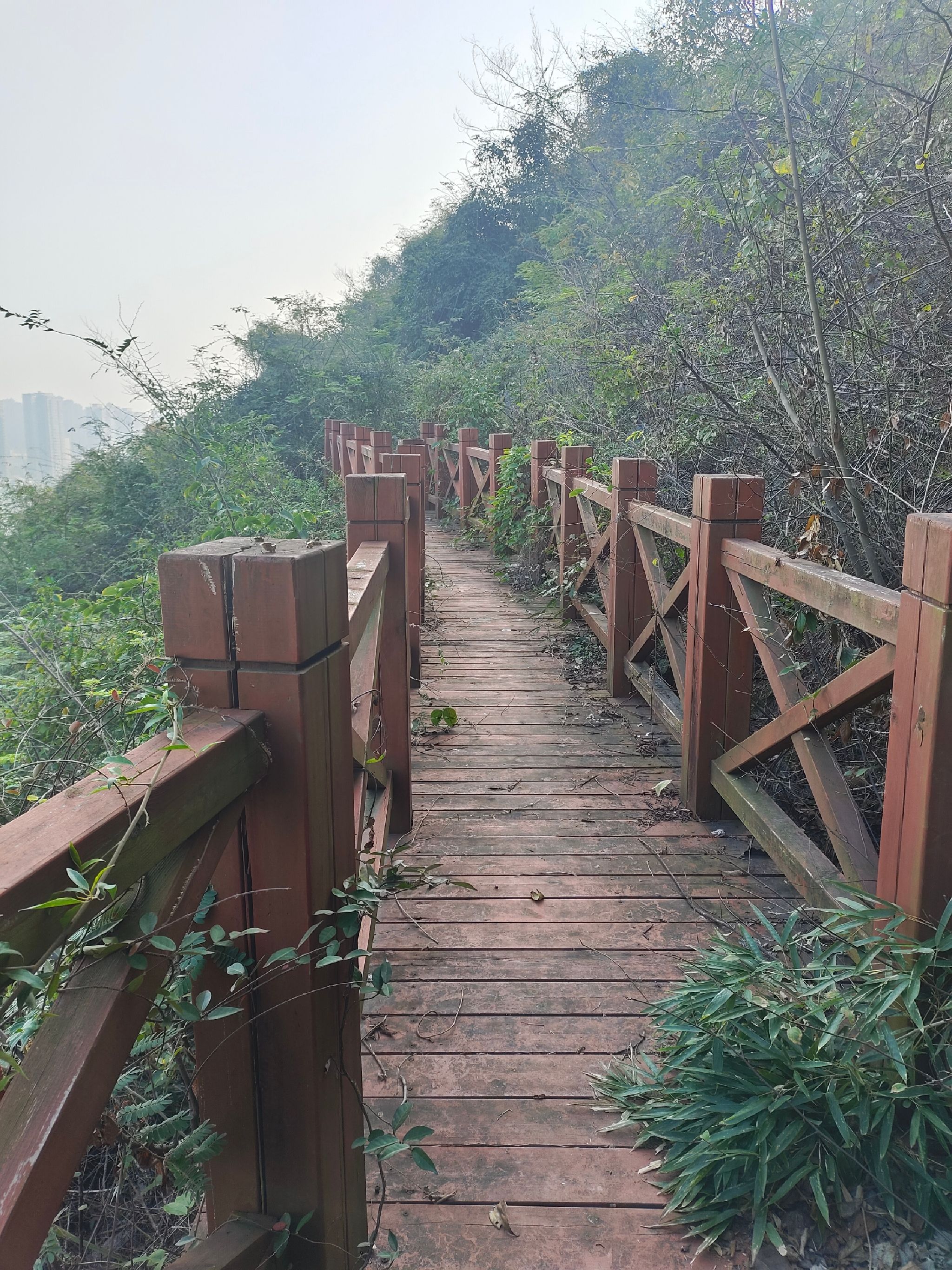 黄荆山旅行图片 3