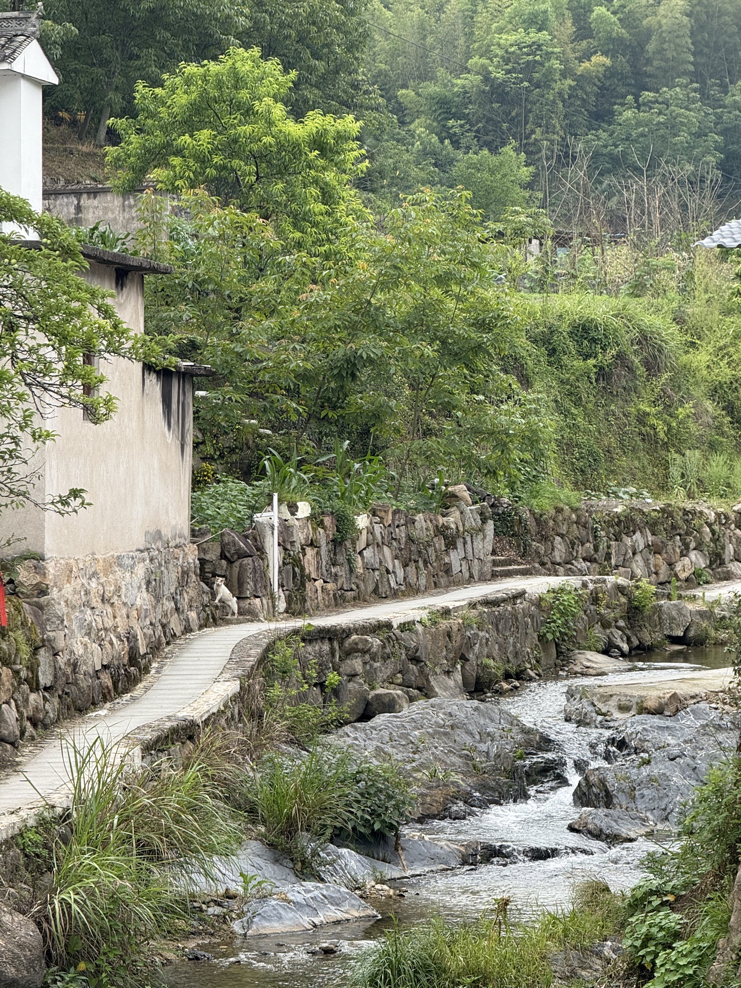 坎头古村落旅行图片 1