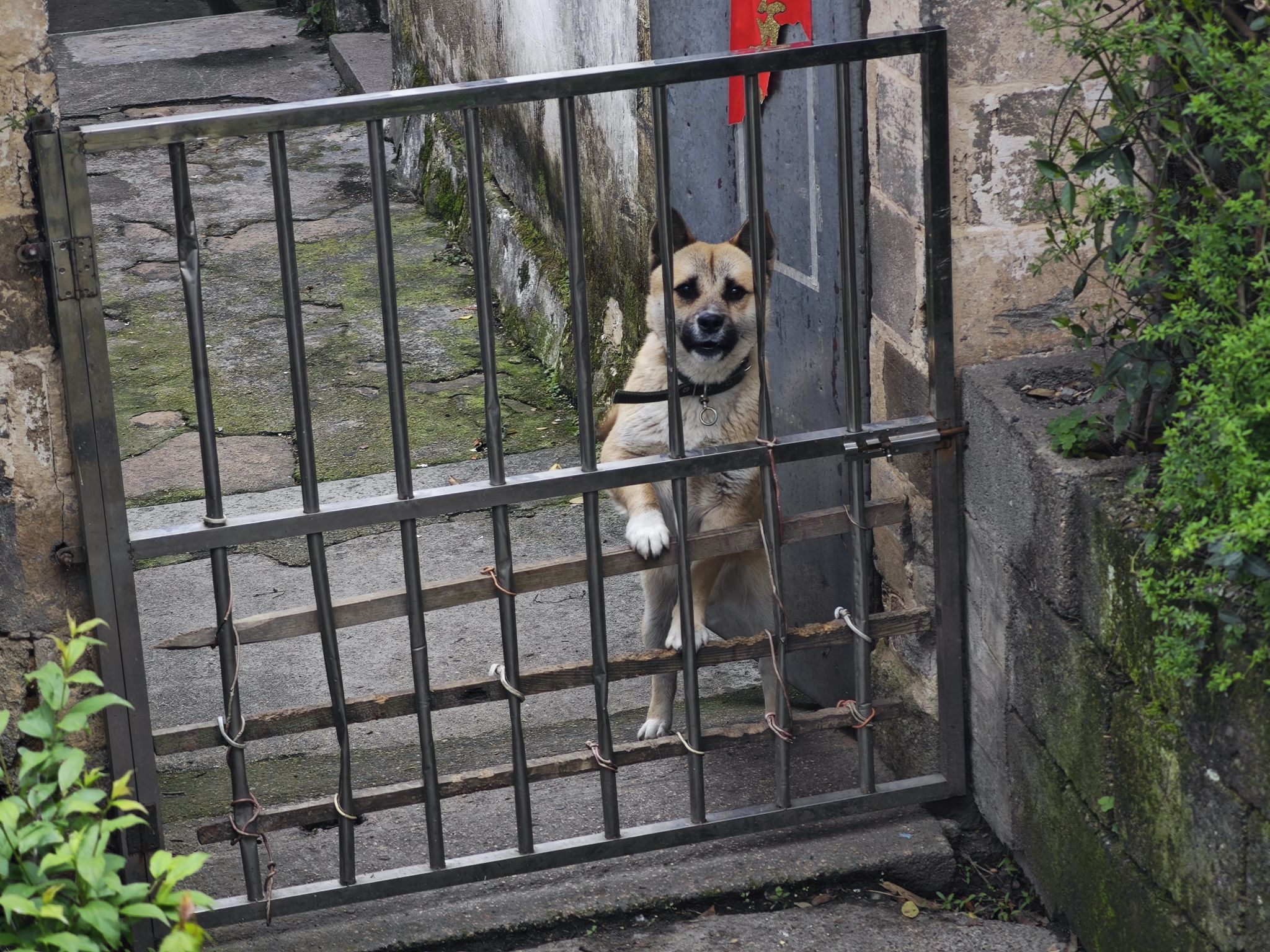 坎头古村落旅行图片 2