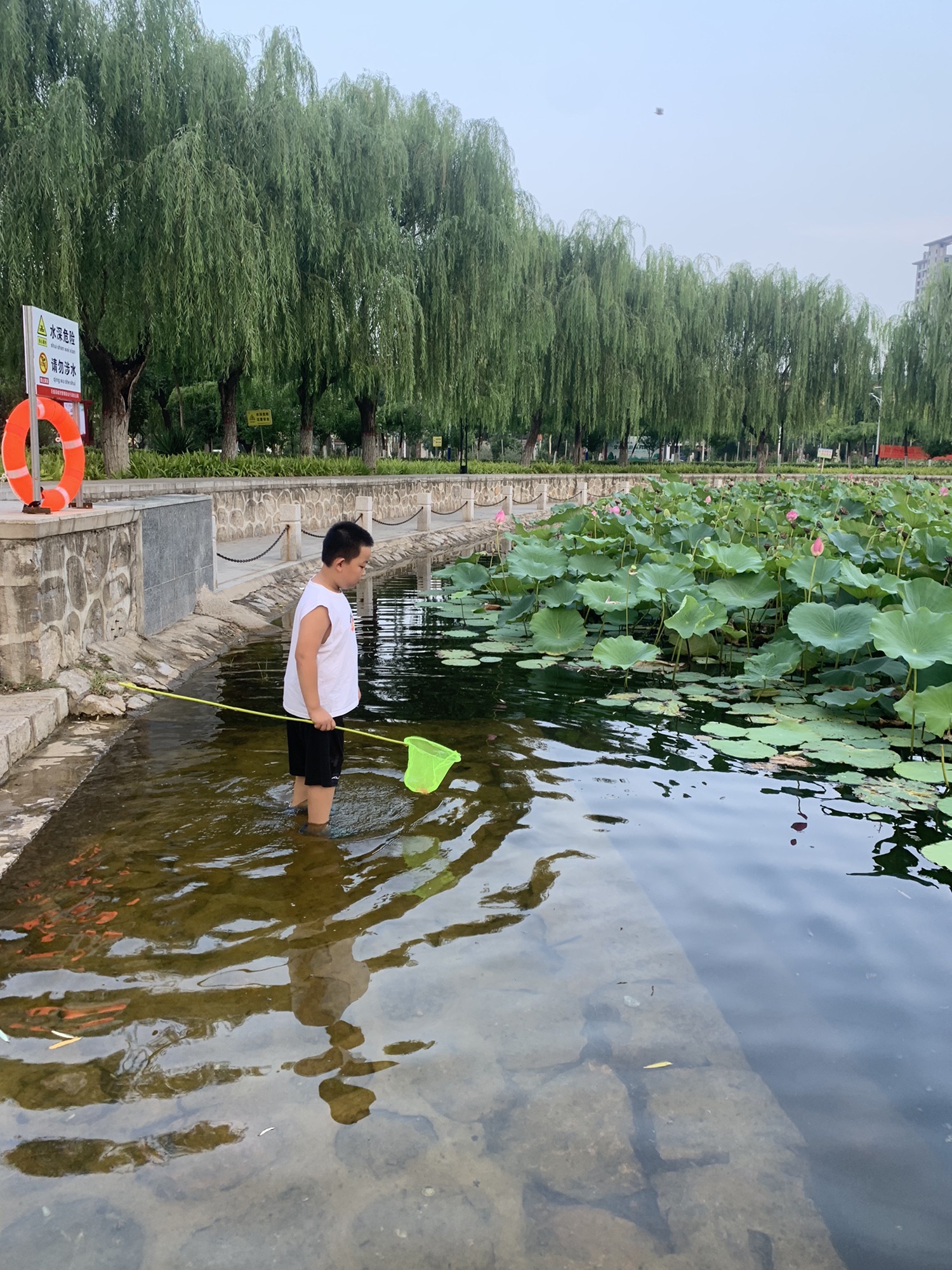 巨鹿公园旅行图片 2