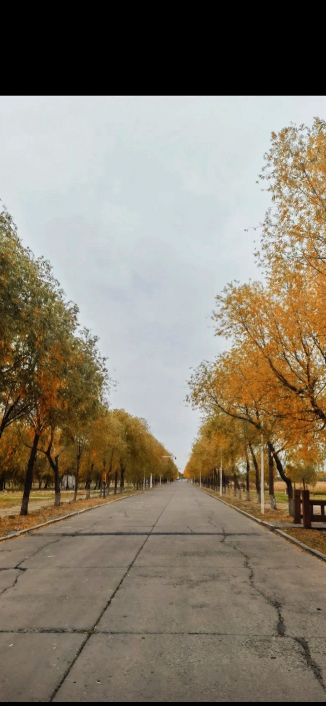 龙凤湿地公园旅行图片 1