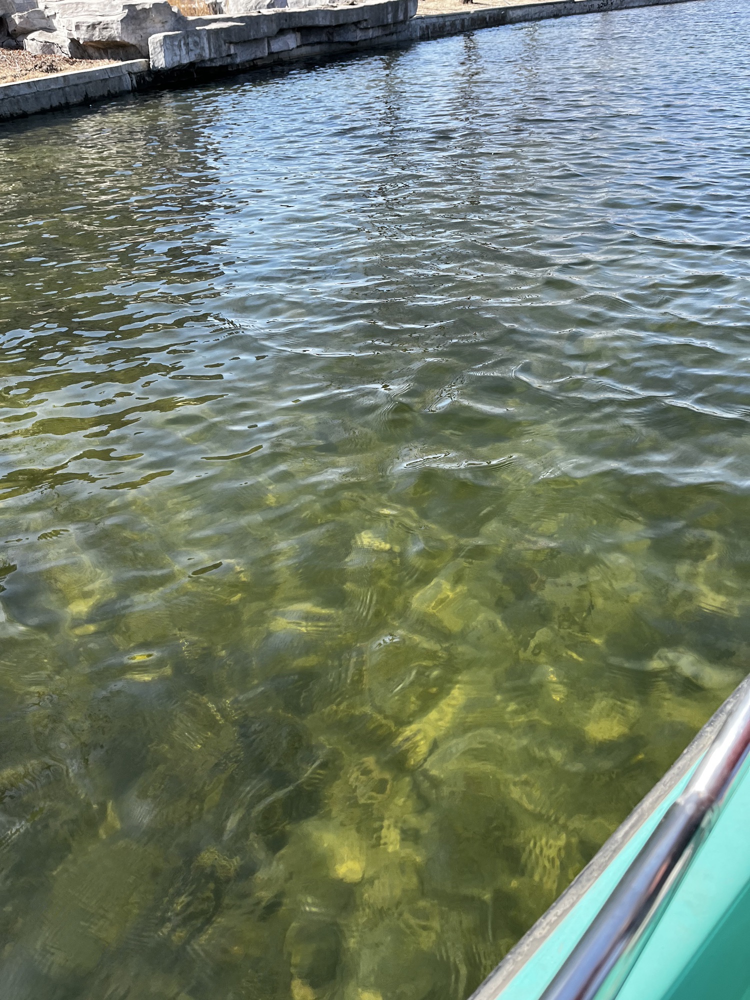 龙凤湿地公园旅行图片 3