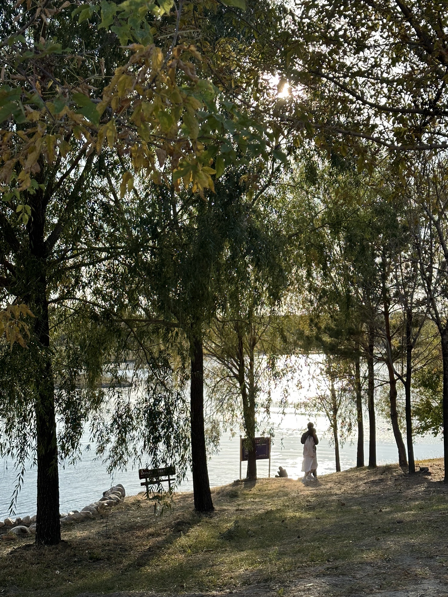 龙凤湿地公园旅行图片 2
