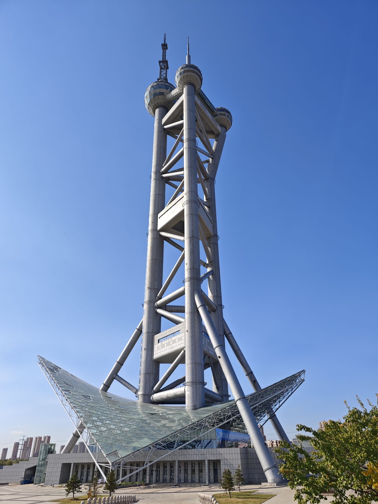 龙凤湿地公园旅行图片 2