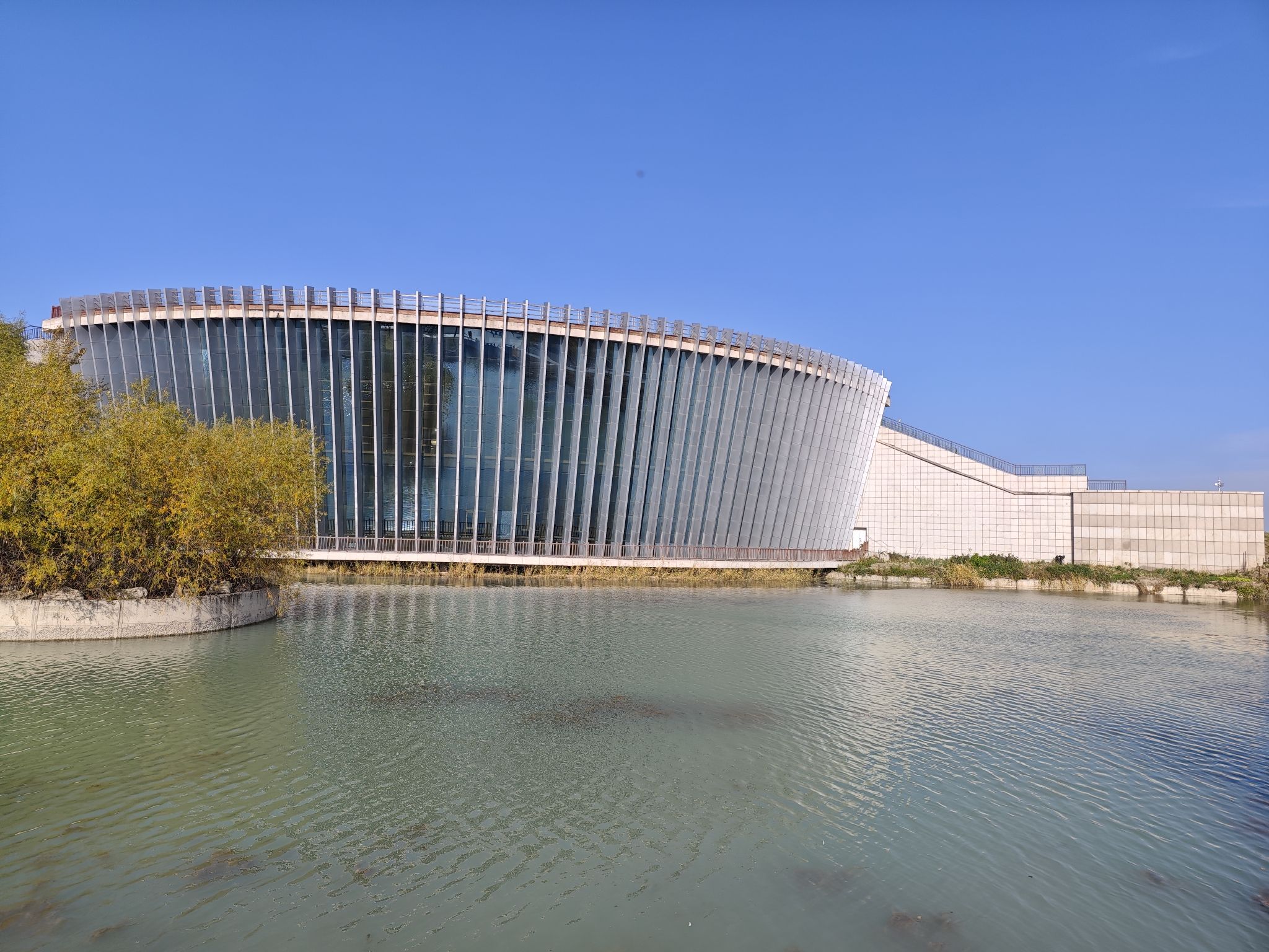 龙凤湿地公园旅行图片 1