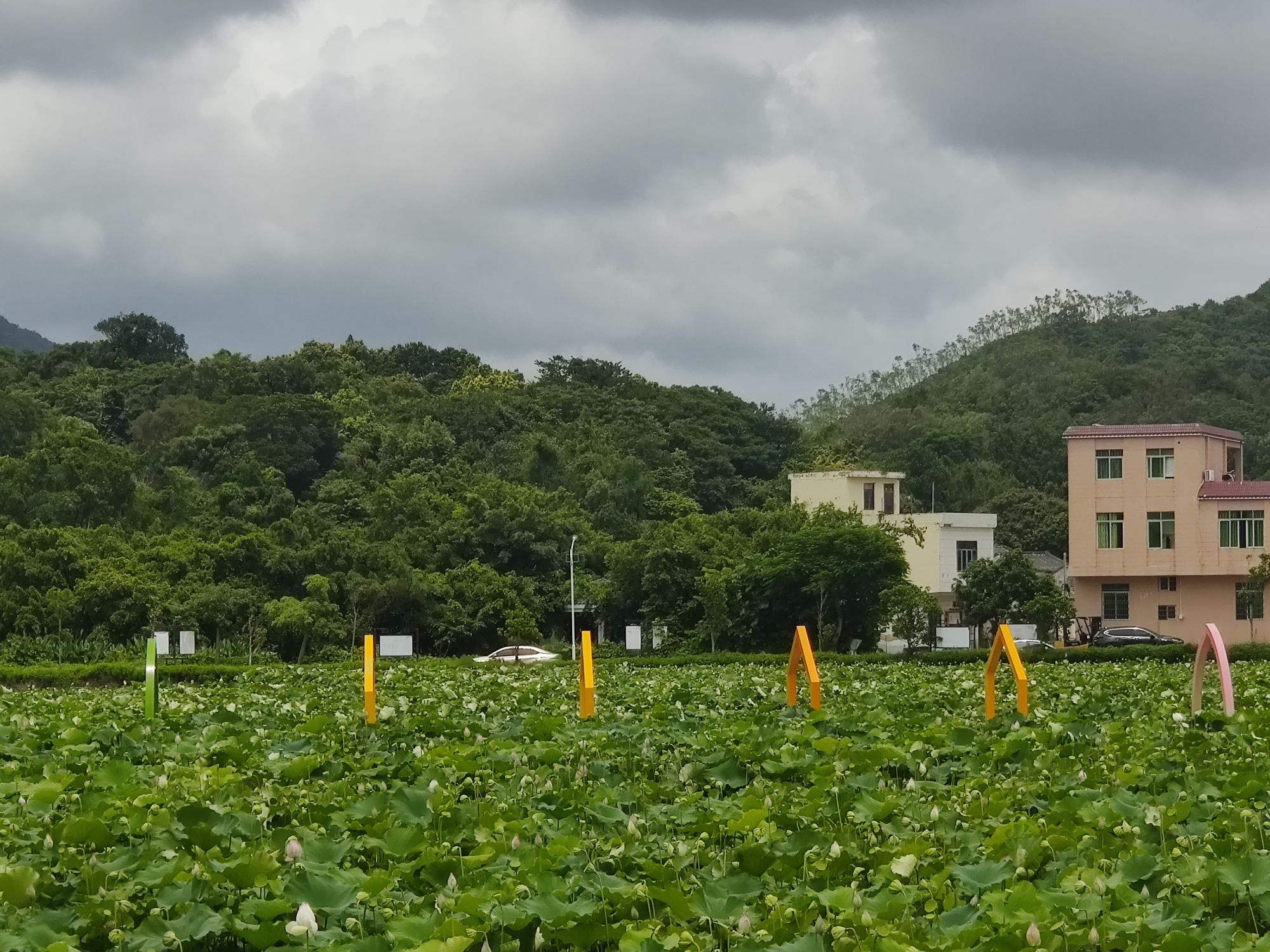 东平鸳鸯石公园旅行图片 2