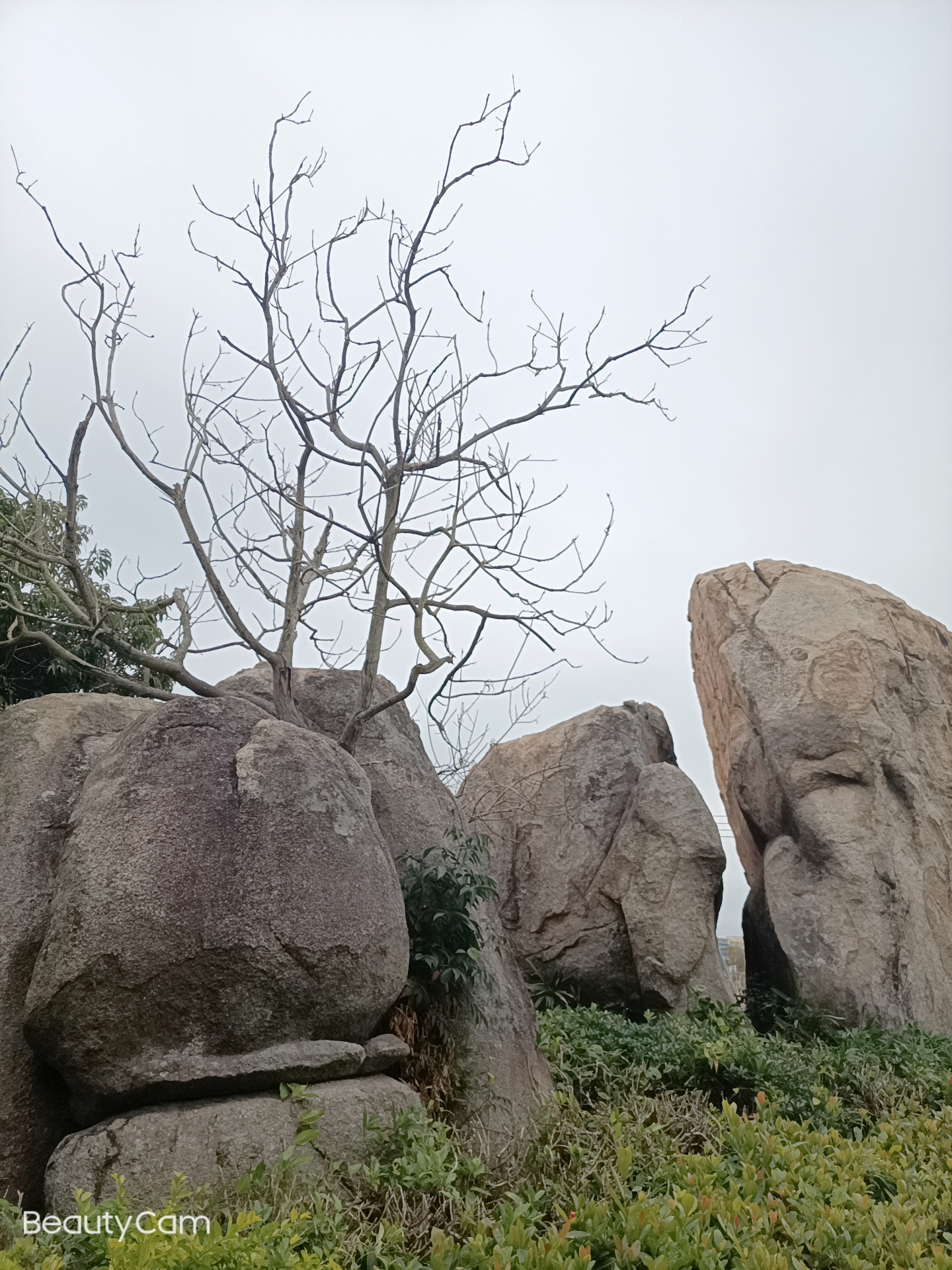 东平鸳鸯石公园旅行图片 2