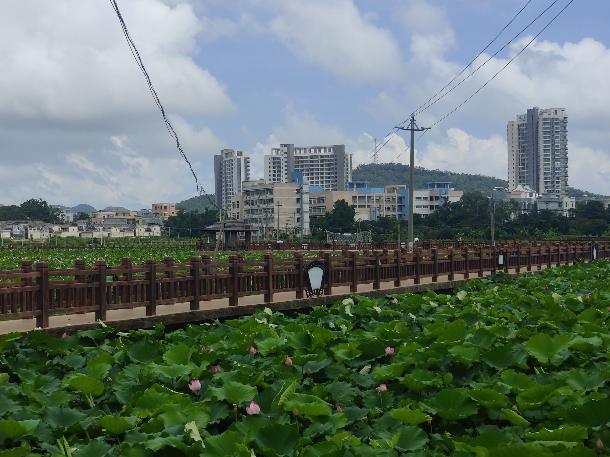东平鸳鸯石公园旅行图片 3
