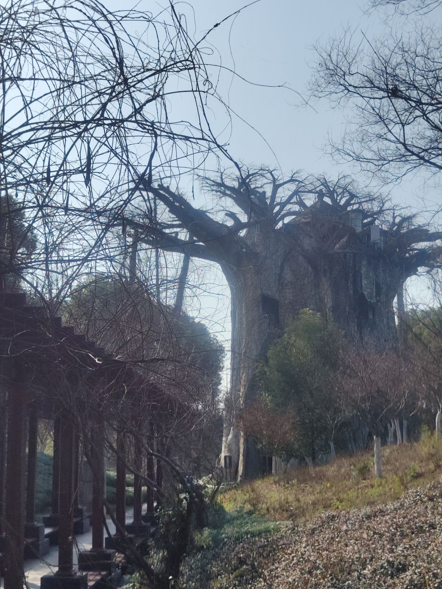 迪荡湖公园旅行图片 2
