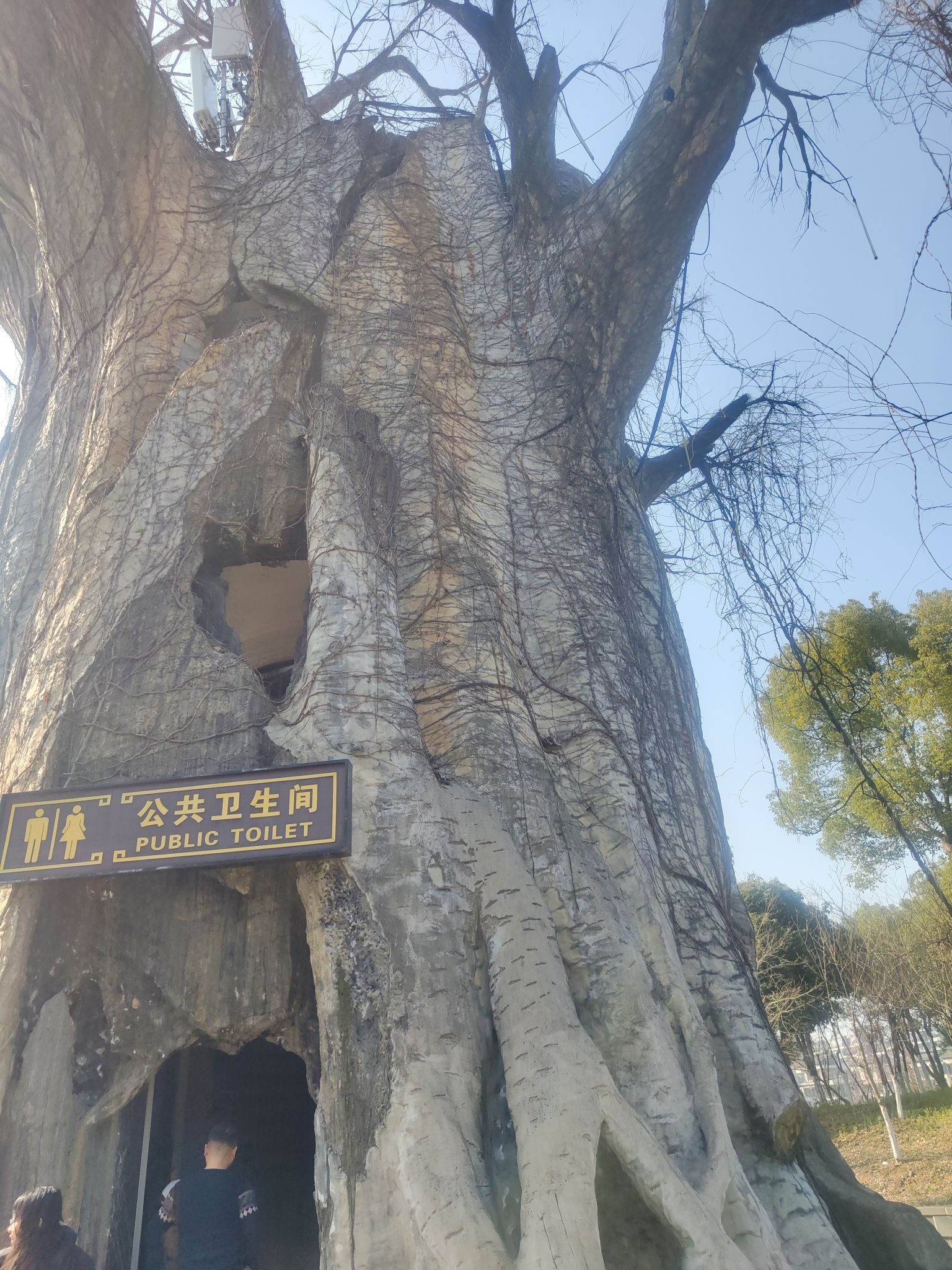 迪荡湖公园旅行图片 3