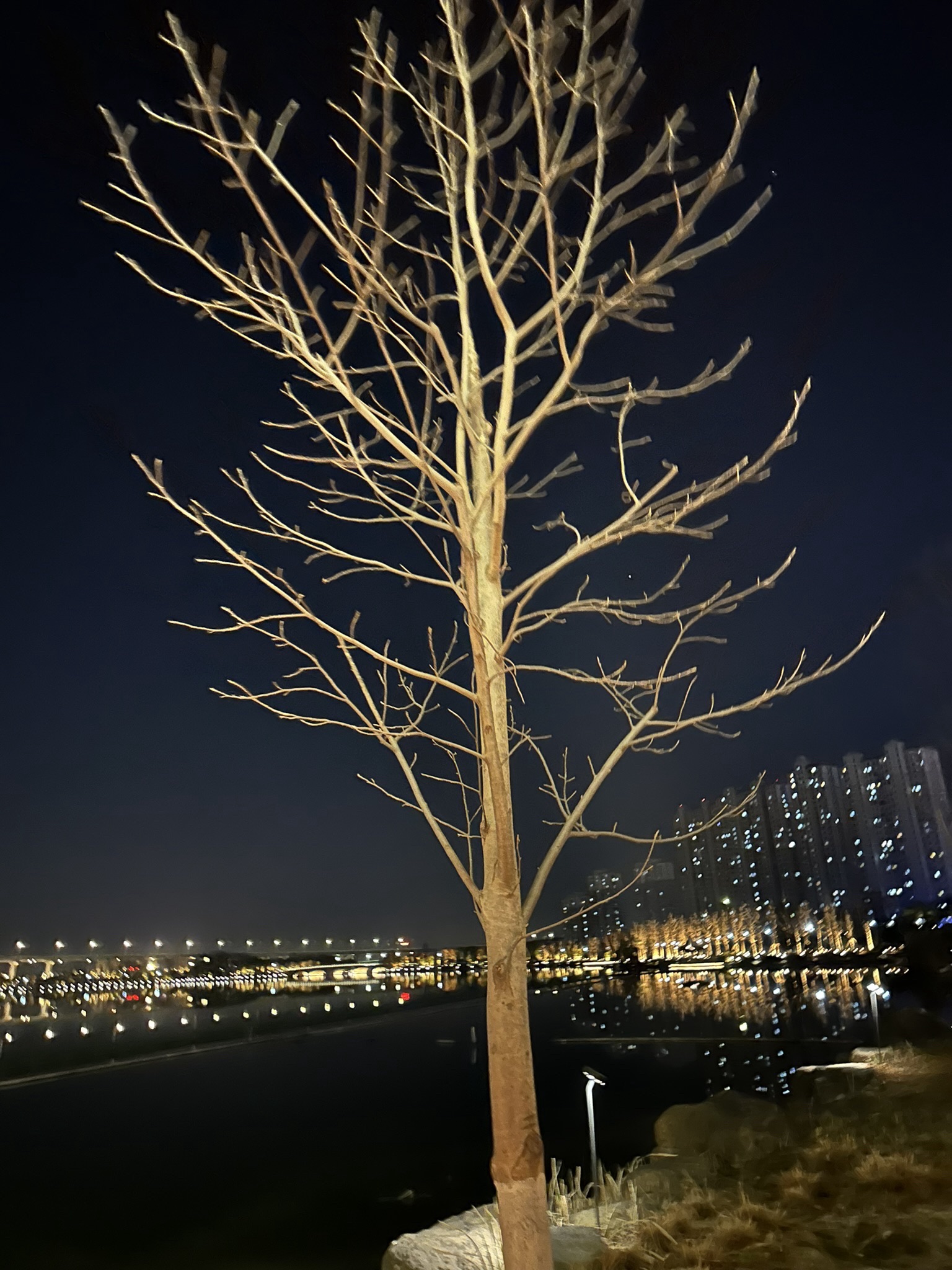 迪荡湖公园旅行图片 2