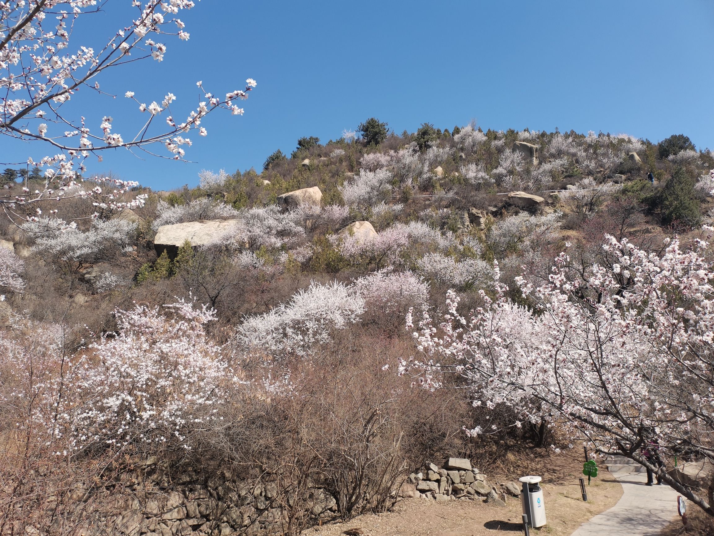 太原杜儿坪桃花沟景点图片