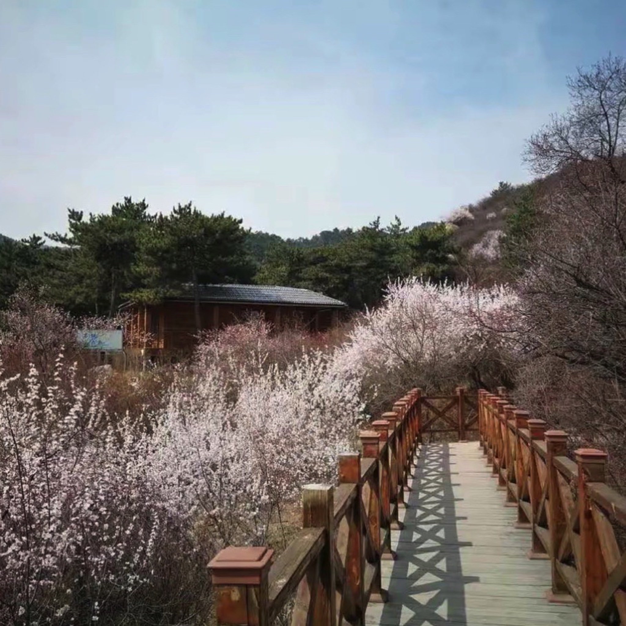 太原杜儿坪桃花沟旅行图片 3