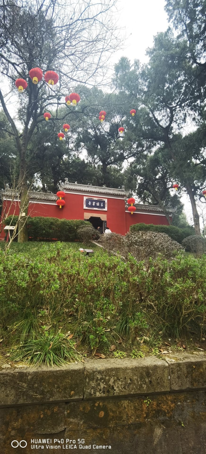 子昂故里文化旅游区旅行图片 2