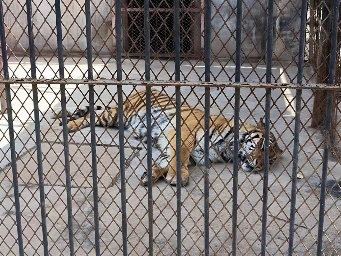 聊城南湖公园旅行图片 2