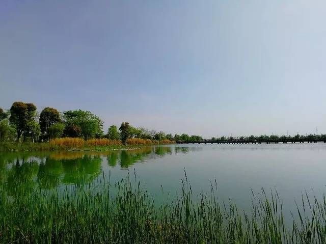 聊城南湖公园旅行图片 1