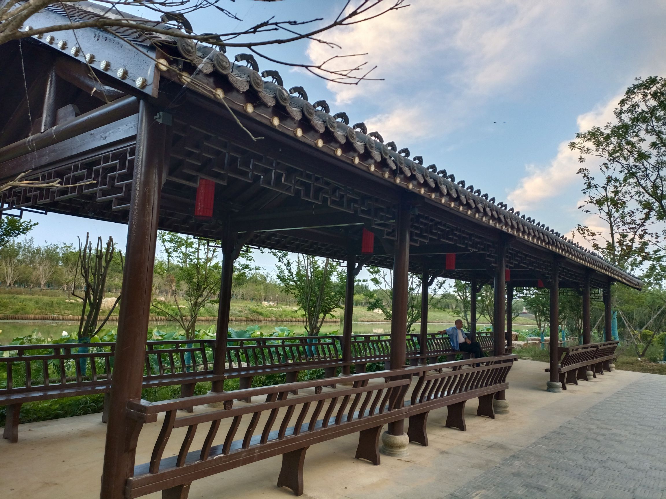 东西湖风景区旅行图片 3