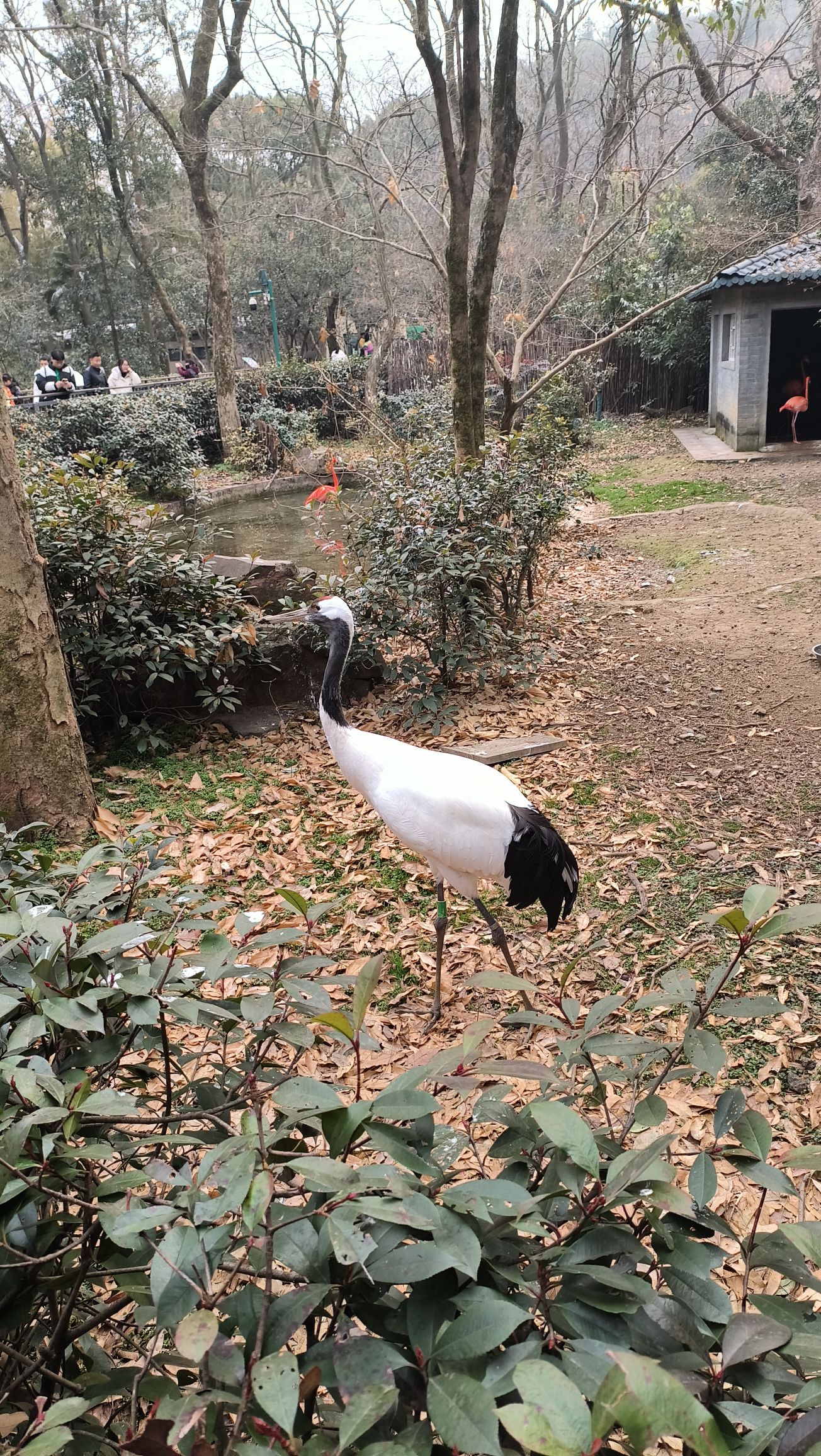 东西湖风景区旅行图片 2