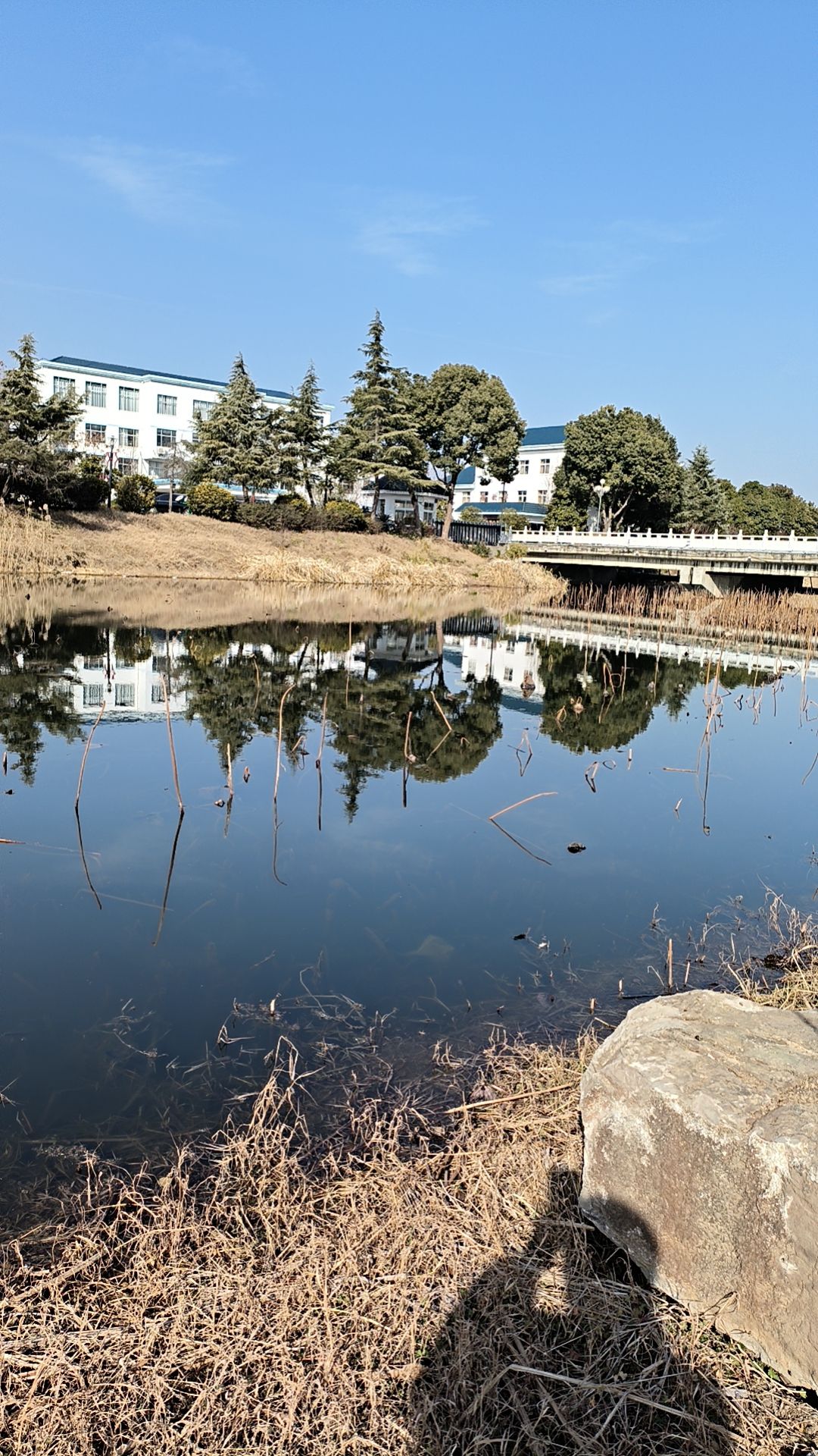 东西湖风景区旅行图片 1