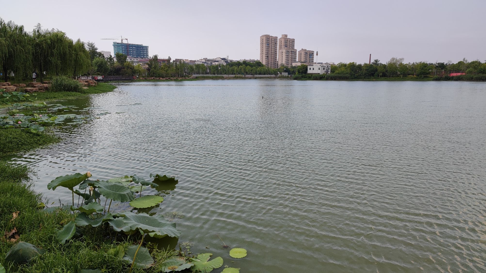 东西湖风景区旅行图片 1