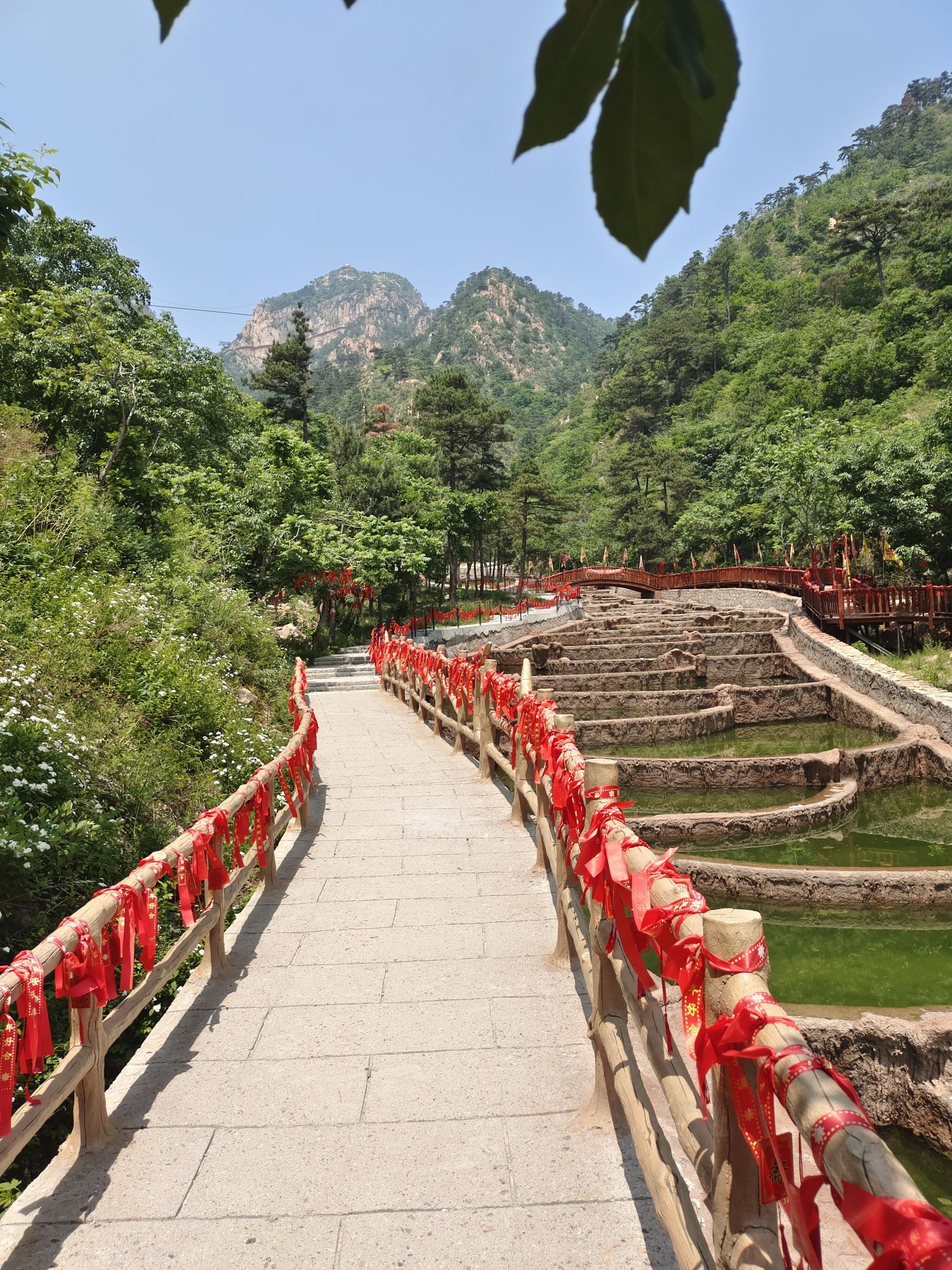 圣顶山旅游度假区旅行图片 3