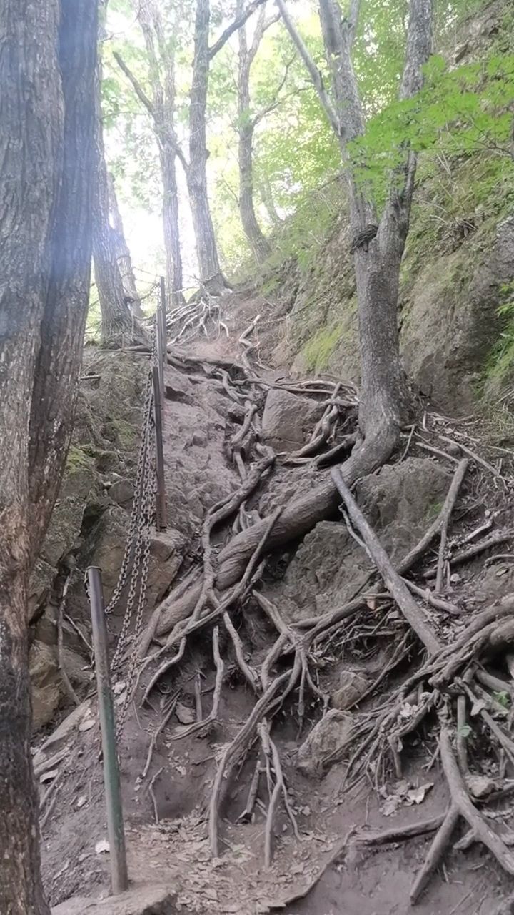 香炉山国家森林公园旅行图片 2