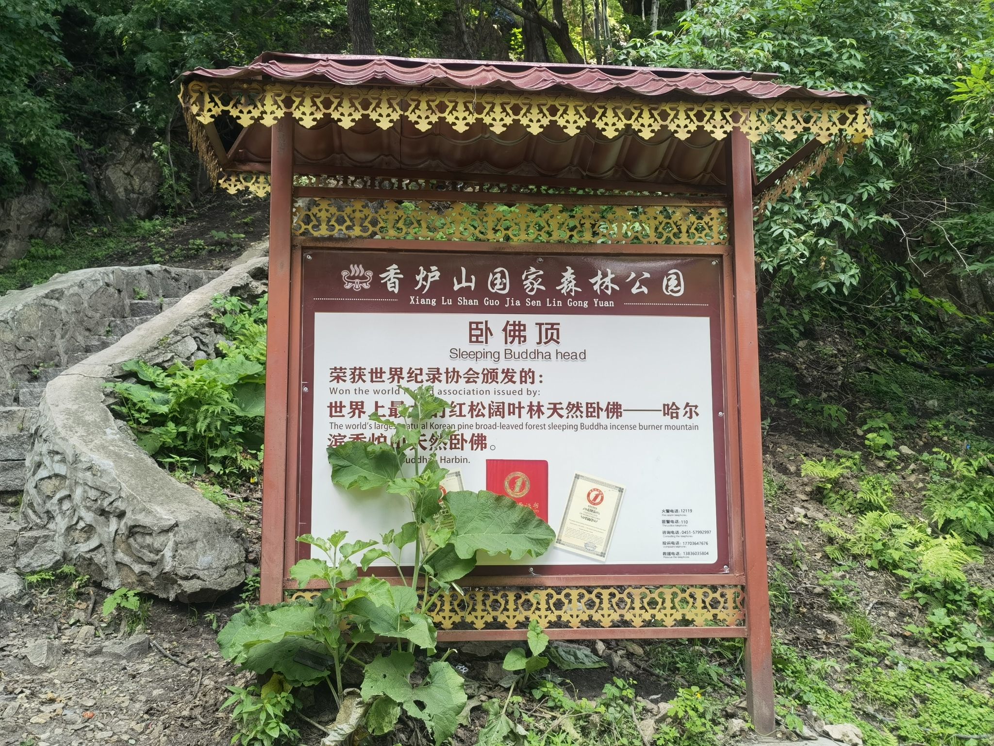 香炉山国家森林公园旅行图片 3