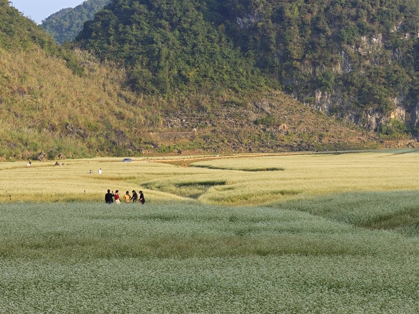 更望湖旅行图片 1