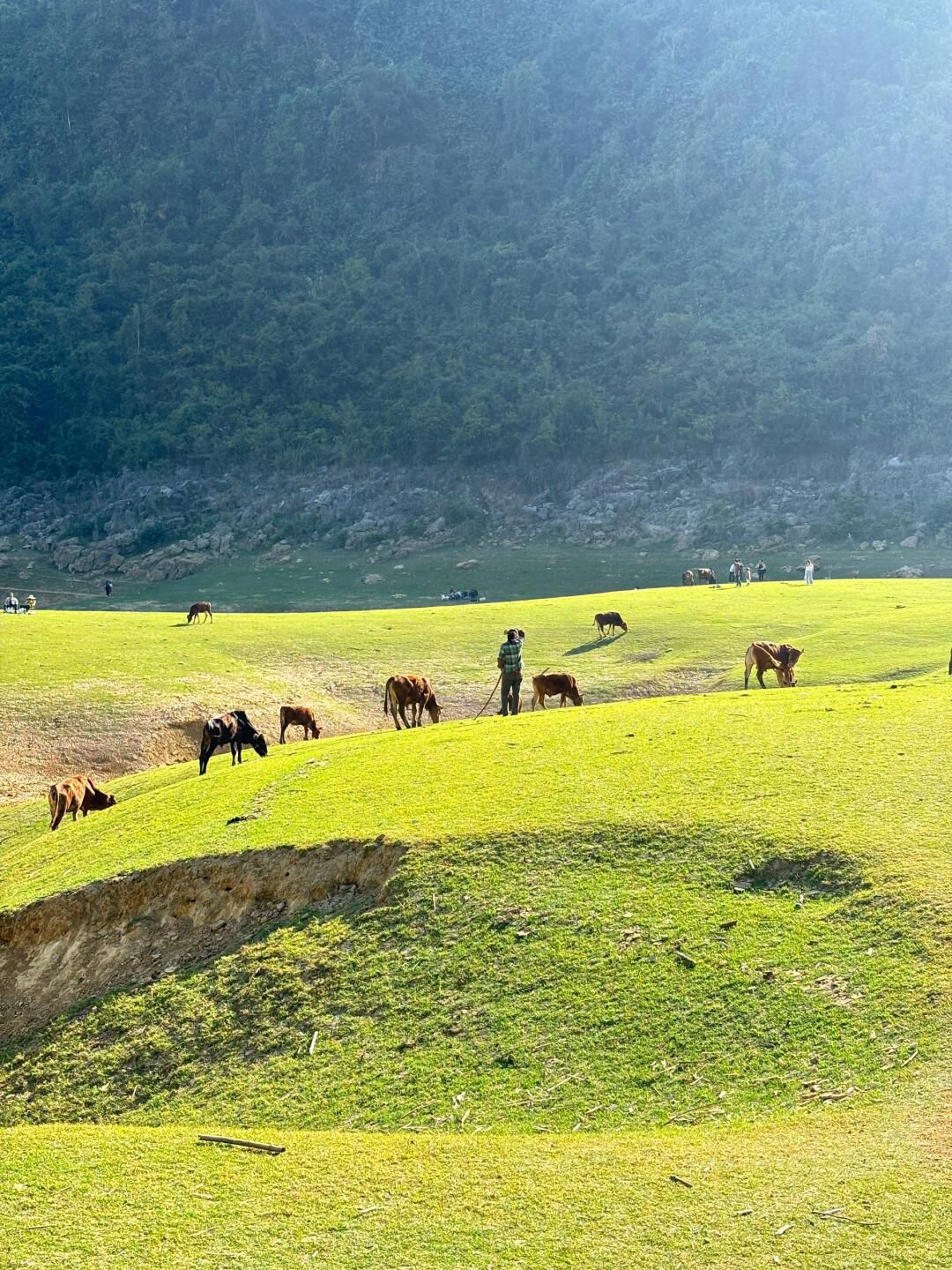 更望湖旅行图片 1