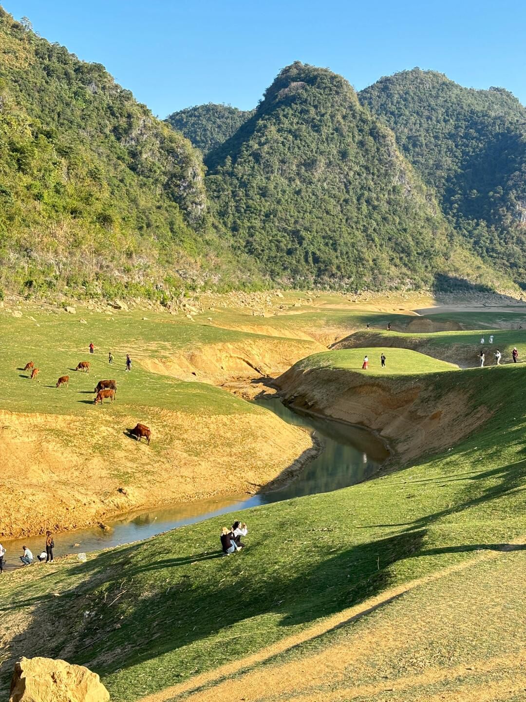 更望湖旅行图片 3
