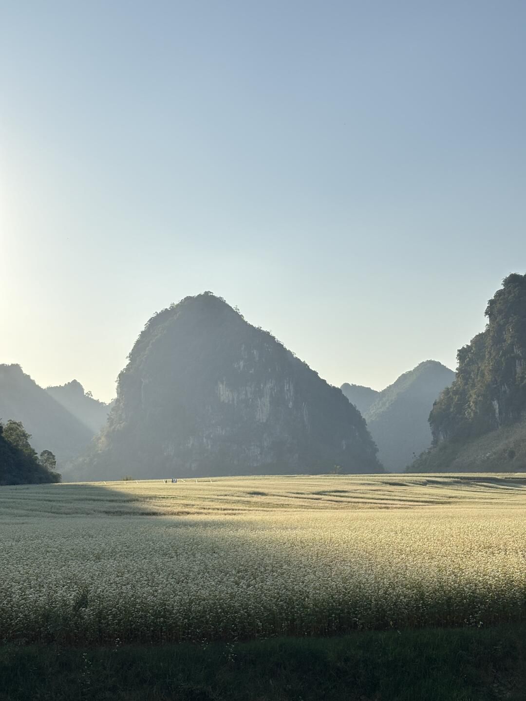 更望湖旅行图片 2