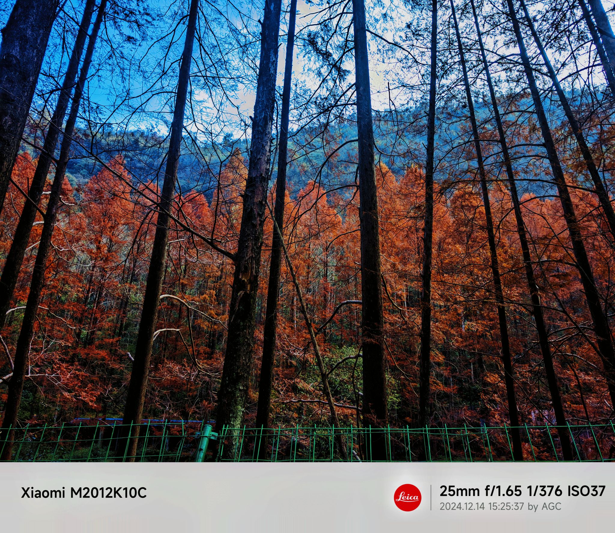 长潭岗景区旅行图片 1