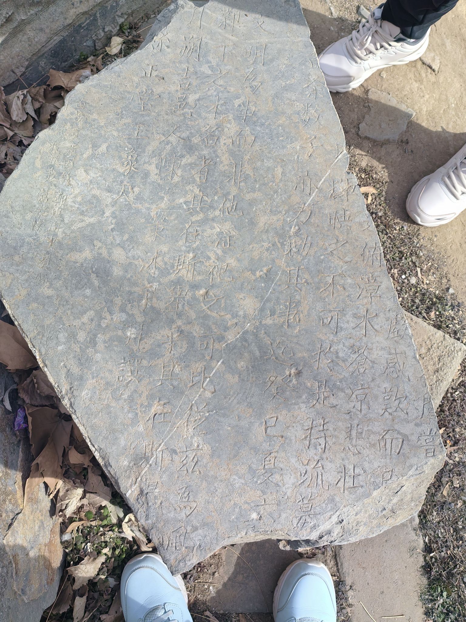 铜雀三台遗址公园旅行图片 1