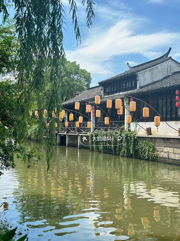 荡口古镇旅行图片 1