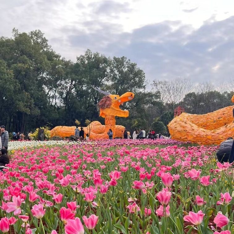 桂林市訾洲岛景区旅行图片 3