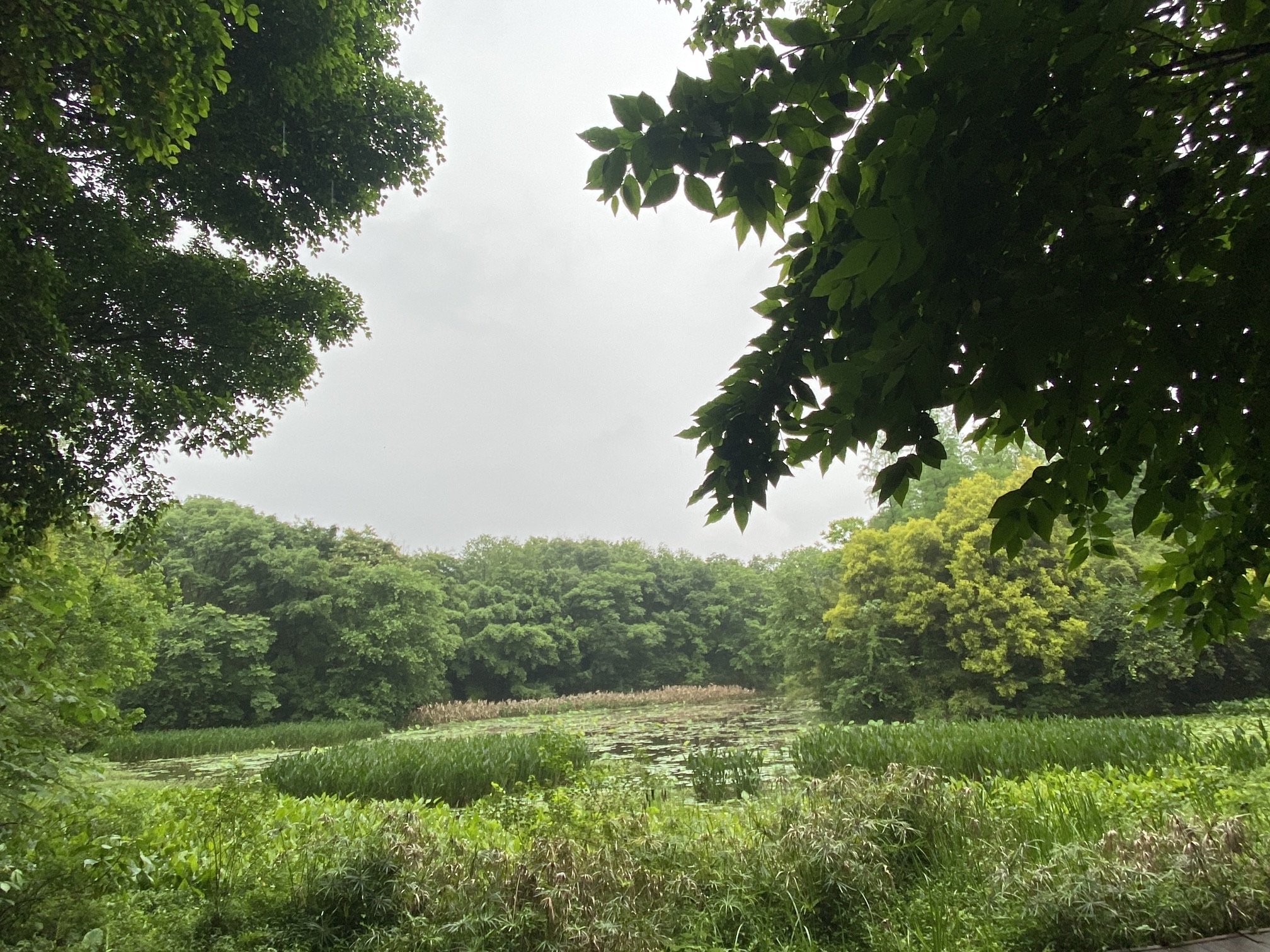 桂林市訾洲岛景区旅行图片 2