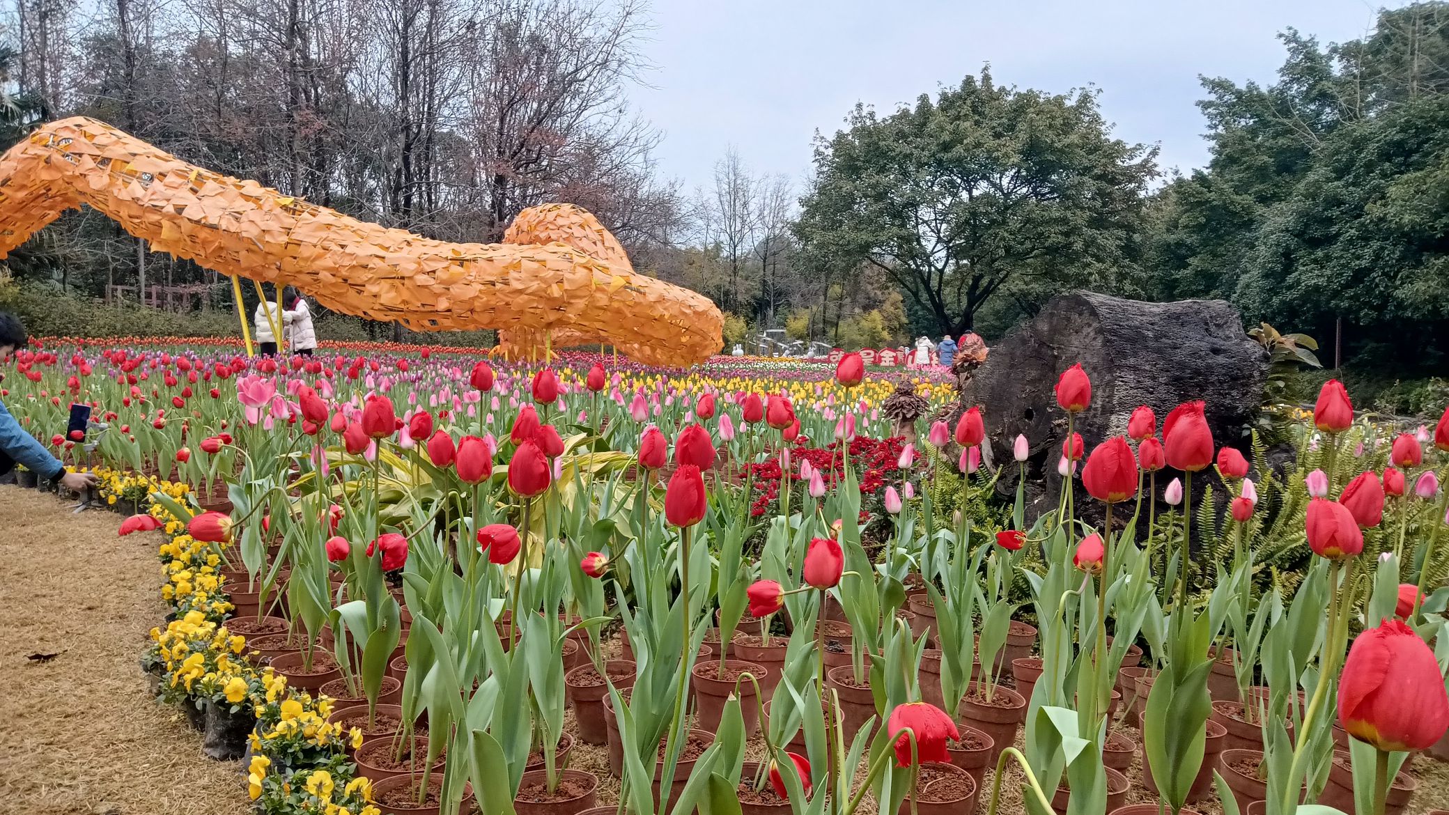 桂林市訾洲岛景区旅行图片 2