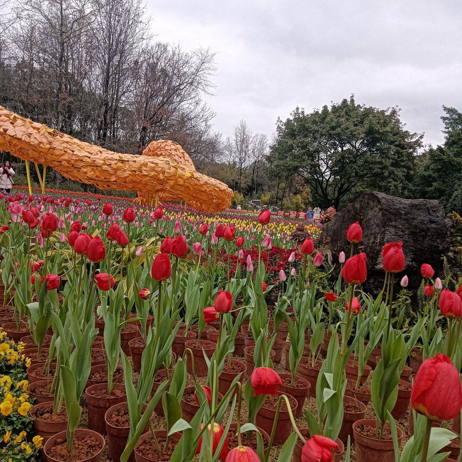 桂林市訾洲岛景区旅行图片 3