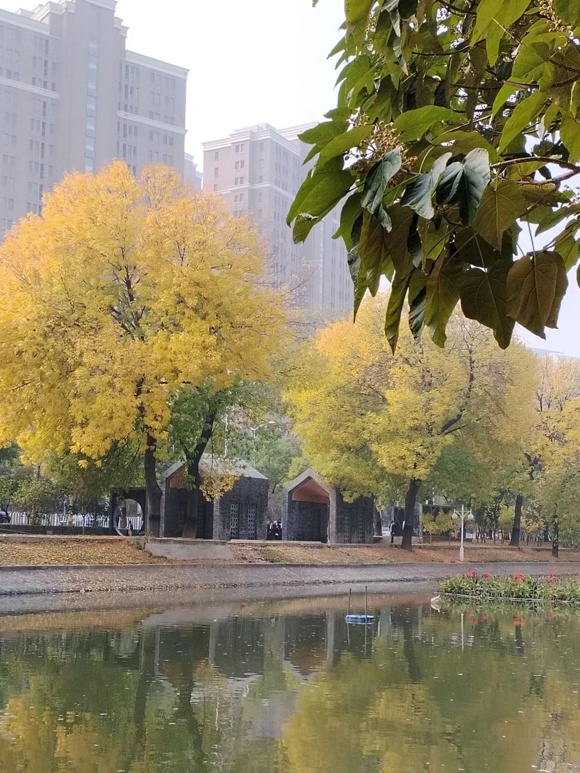 天子津渡遗址公园旅行图片 1
