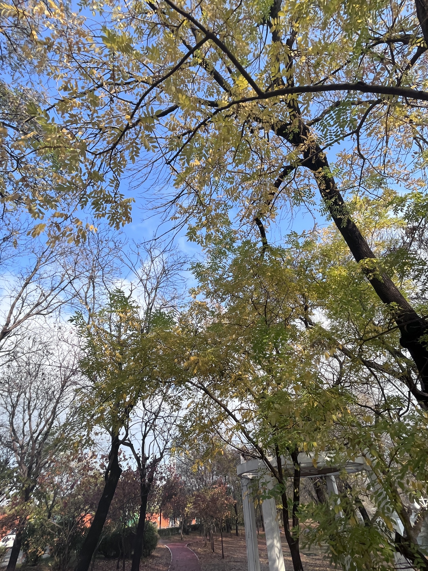天子津渡遗址公园旅行图片 2