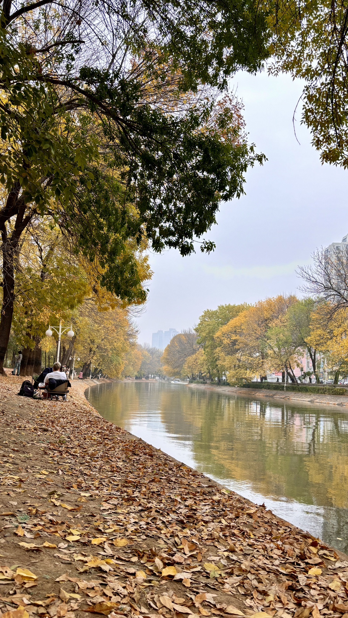 天子津渡遗址公园旅行图片 1