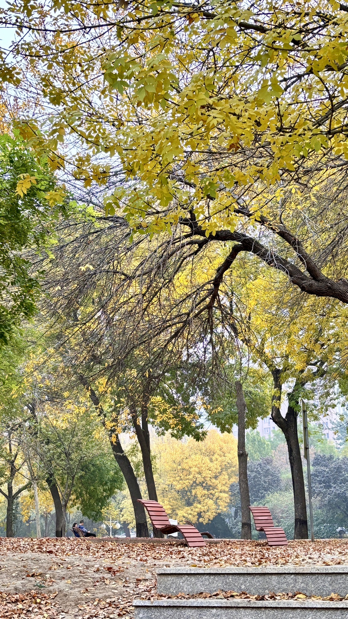 天子津渡遗址公园旅行图片 2